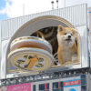 突如渋谷に現れた“超巨大な秋田犬”がかわいすぎる！　本当にその場にいるかのような3D